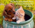 Na mi�y pocz�tek dnia...