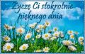 �ycz� Ci stokrotnie pi�knego dnia!