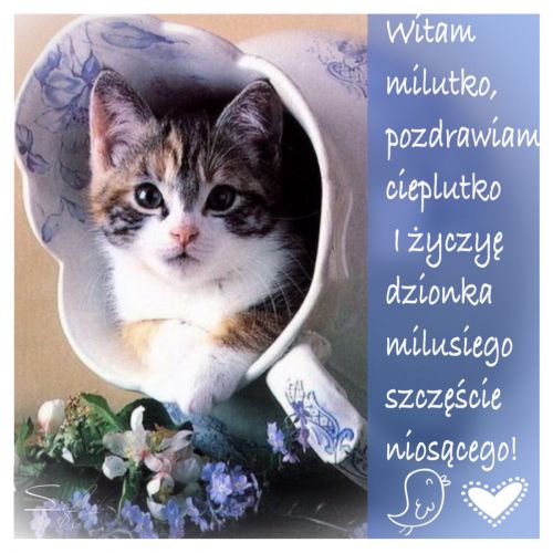 Kartka Witam milutko...