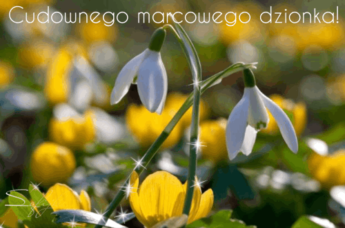 Kartka Witam cieplutko! Cudownego marcowego dzionka �ycz�
