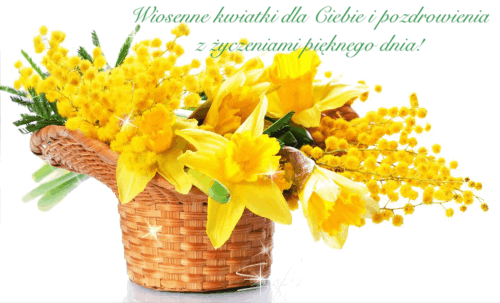 Wiklinowy kapelusz pe�en ��tych �onkili i mimoz oraz napis Wiosenne kwiatki dla Ciebie