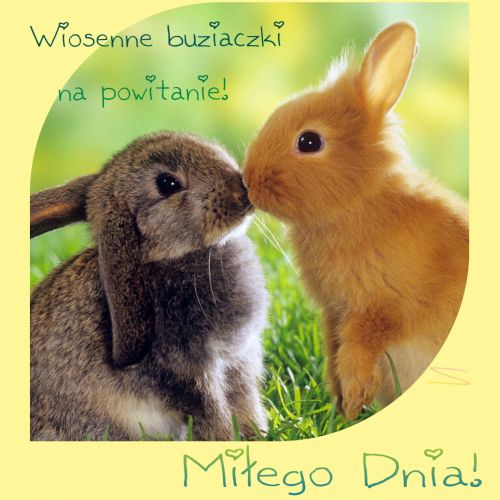 Kartka Wiosenne buziaczki na powitanie