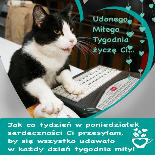Czarno-biały kot pisze na klawiaturze, z napisem Udanego Miłego Tygodnia życzę Ci