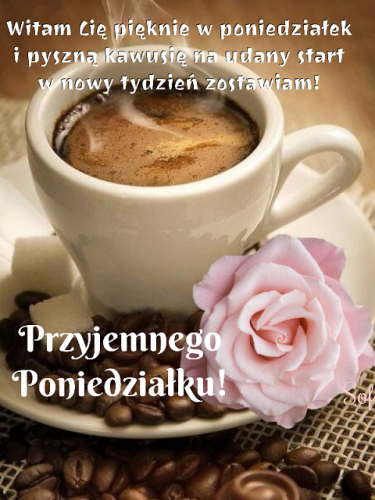 Biała filiżanka z aromatyczną kawą, ziarna, kostki cukru, różowa róża i poniedziałkowe życzenia