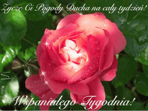 Kartka �ycz� Ci pogody ducha na ca�y tydzie�...