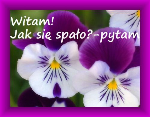 Kartka Witam! Jak si� spa�o? Mi�ego dnia!
