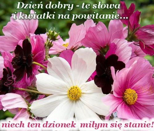 Kartka Witam cieplutko i �ycz� Ci mi�ego dnia!