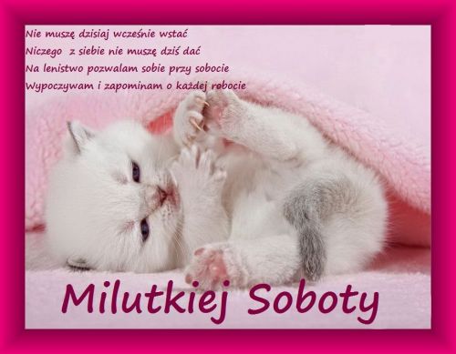 Mały, puszysty biały kotek leży pod różowym kocem, a obok widnieje napis Milutkiej Soboty