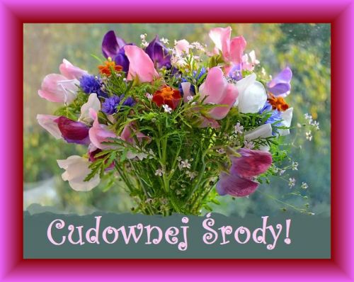 Kartka Cudownej �rody!