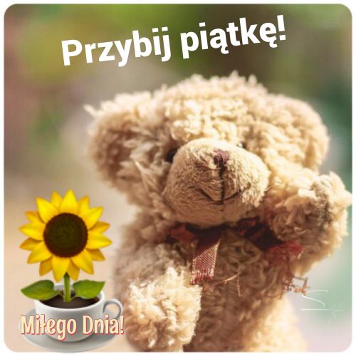Pluszowy miś z napisem Przybij piątkę i filiżanka ze słonecznikiem oraz napisem Miłego Dnia