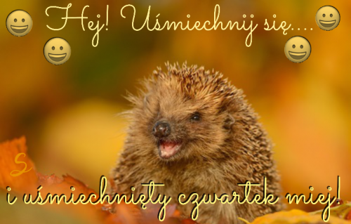Kartka U�miechni�tego Czwartku �ycz�!