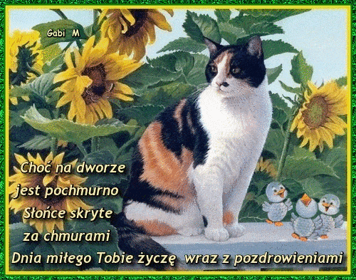 Kartka Dnia Mi�ego Tobie �ycz� wraz z Pozdrowieniami 