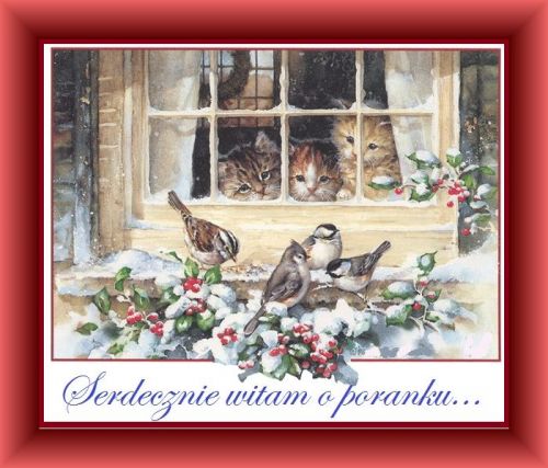 Trzy kotki wygl�daj� przez za�nie�one okno, a cztery ptaszki siedz� na parapecie w�r�d ostrokrzewu