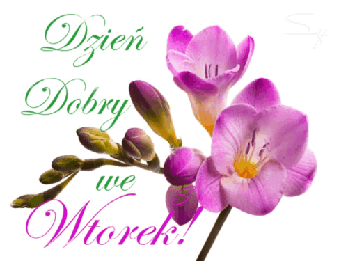 Kartka 🌸Witam Ci� pi�knie i �ycz� Mi�ego Wtorku!