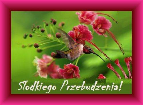 Kartka S�odkiego przebudzenia!