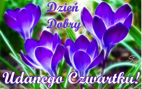 Kartka Dzie� dobry w Czwartek!