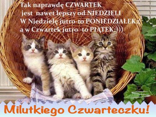Kartka Czwartek jest nawet lepszy od niedzieli...