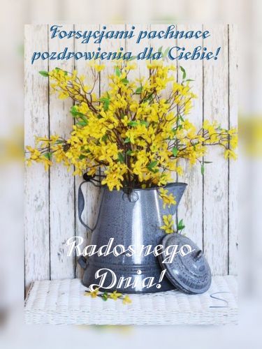 Kartka Cieplutko pozdrawiam, bukiecik forsycji zostawiam!