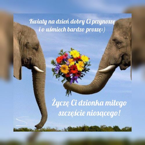Kartka :) Kwiaty na dzie� dobry Ci przynosz�...