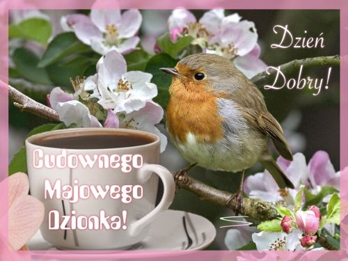 Kartka Cudownego majowego dzionka!