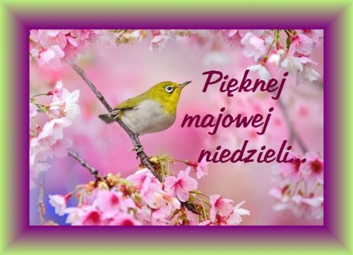Kartka Pi�knej majowej niedzieli...
