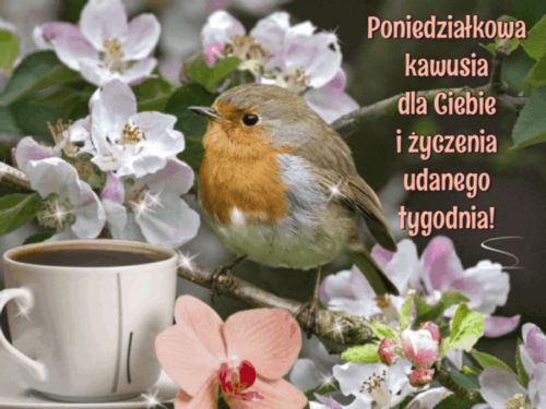 Kartka 🍀Poniedzia�kowa kawusia dla Ciebie☕