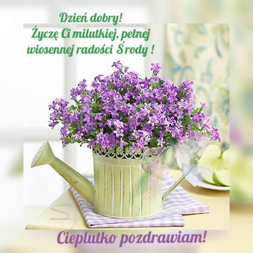 Fioletowe kwiaty dzwonki w zielonej konewce stojącej na stole z napisem o środzie
