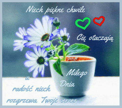 Biała doniczka z fioletowymi kwiatami stokrotek, kolorowe serca oraz polski napis z życzeniami dobrego dnia