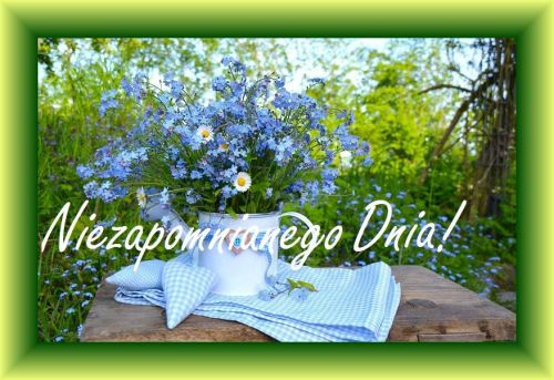 Bia�a konewka z bukietem niebieskich niezapominajek na drewnianym stole i napisem Niezapomnianego Dnia