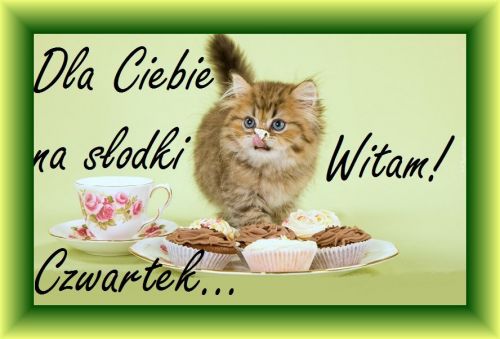 Ma�y rudy kotek z fili�ank� herbaty i babeczkami, z napisem Dla Ciebie na s�odki czwartek witam