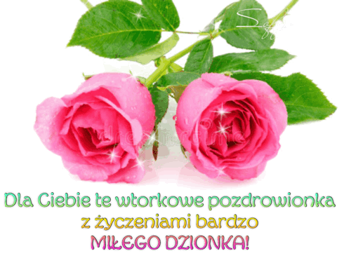 Dwa różowe pąki róż z zielonymi liśćmi i napis miłego dzionka na białym tle