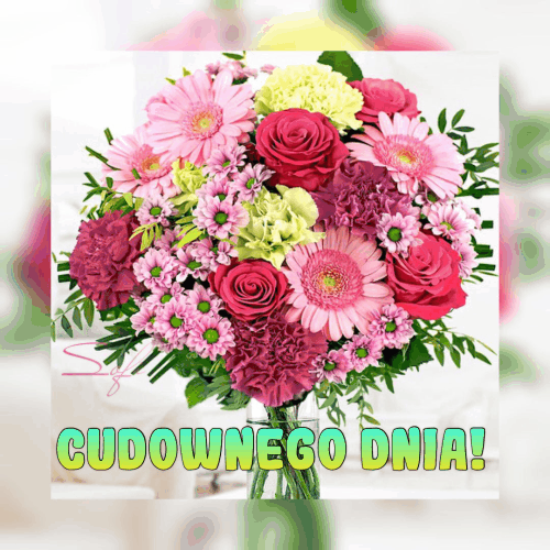 Bukiety r�, gerber i go�dzik�w w szklanym wazonie z napisem cudownego dnia