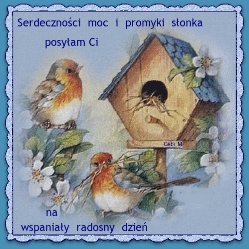 Dwa ptaszki, budka dla ptaków, białe kwiaty jabłoni i napis Serdeczności moc i promyki słonka posyłam Ci