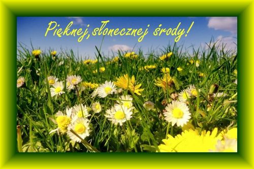 Obrazek dodany przez użytkowniczkę