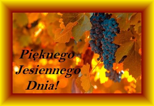 Ciemne winogrona na tle jesiennych liści i żółta ramka z napisem Pięknego Jesiennego Dnia