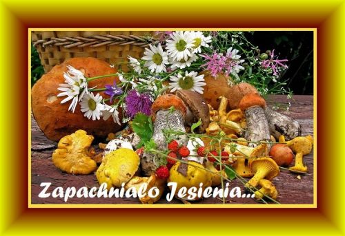 Wiklinowy koszyk, grzyby jadalne, kolorowe polne kwiaty, poziomki i napis Zapachniało Jesienią na stole