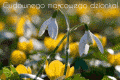 Witam cieplutko! Cudownego marcowego dzionka �ycz�