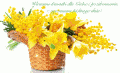 Pi�knego Wiosennego Dnia!