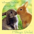 Wiosenne buziaczki na powitanie
