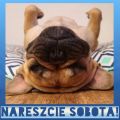 Nareszcie sobota!