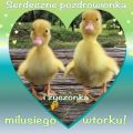 Milusiego Wtorku:)