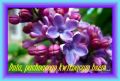 �ycz� Ci dnia, o zapachu wiosny i bz�w...