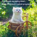 Zapowiada si� pi�kny dzie�...