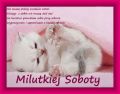 Milutkiej soboty i dobrego wypoczynku życzę!