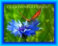 Cudownego Dnia!