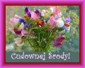 Cudownej �rody!