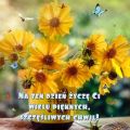 Niech to b�dzie dla Ciebie szcz�liwy dzie�!