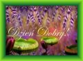 Dzie� Dobry! �ycz� pi�knego dnia!