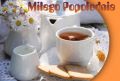 Popo�udnia udanego, mi�y relaks nios�cego!