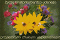 Udanego Wtorku!